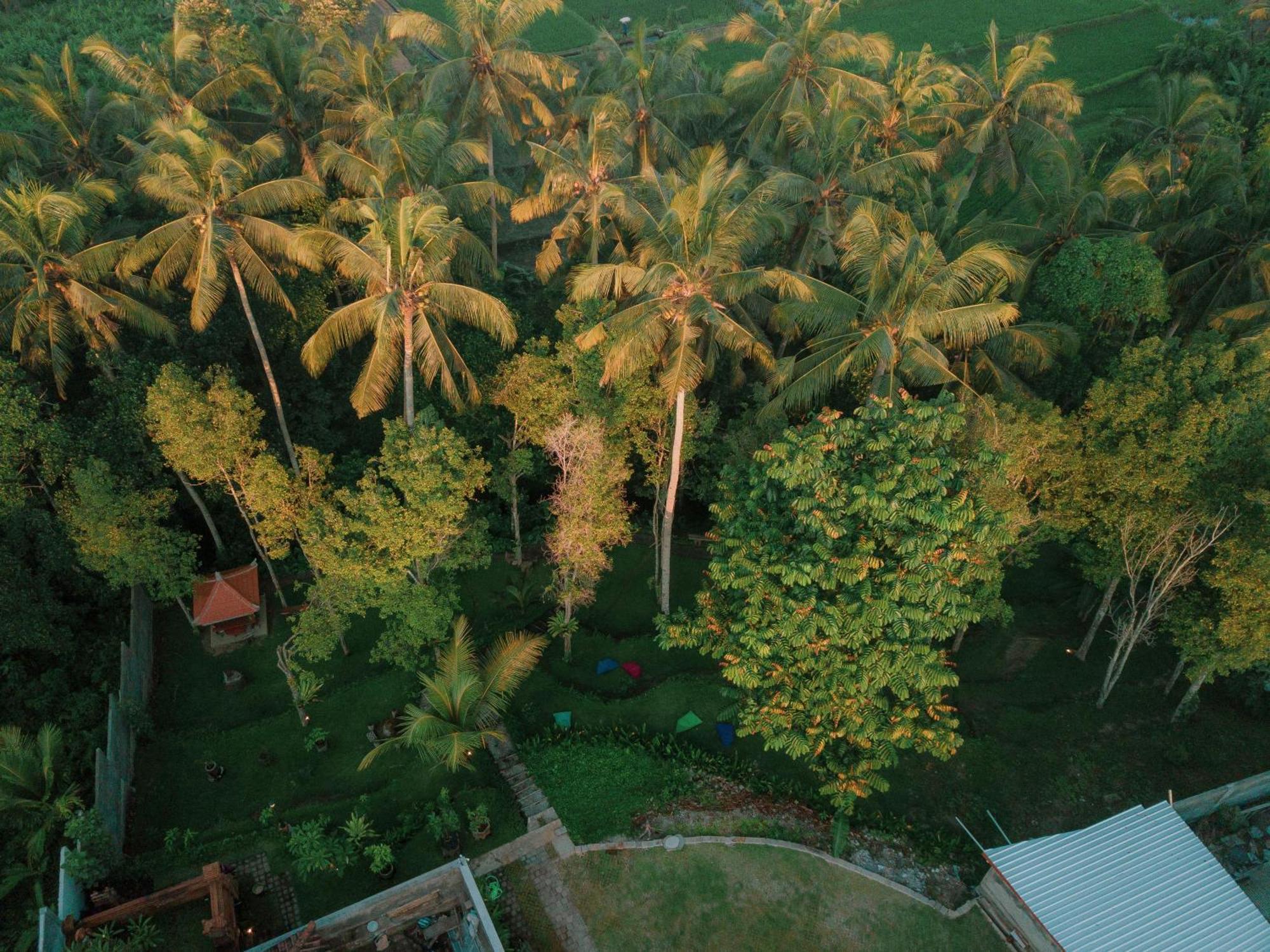Отель Bali Made Escape Паянган Экстерьер фото
